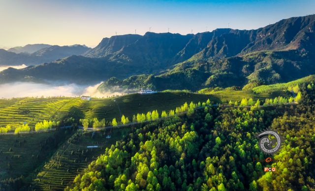 秀美茶山