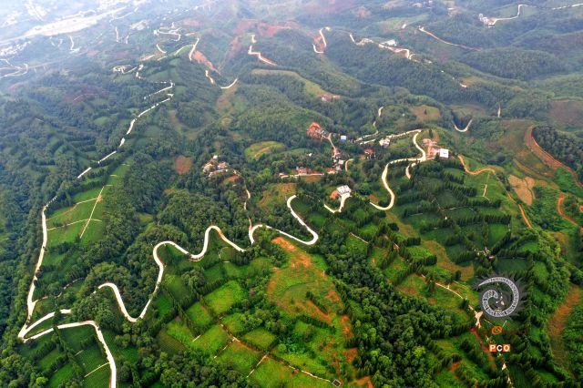 茶山龙脉