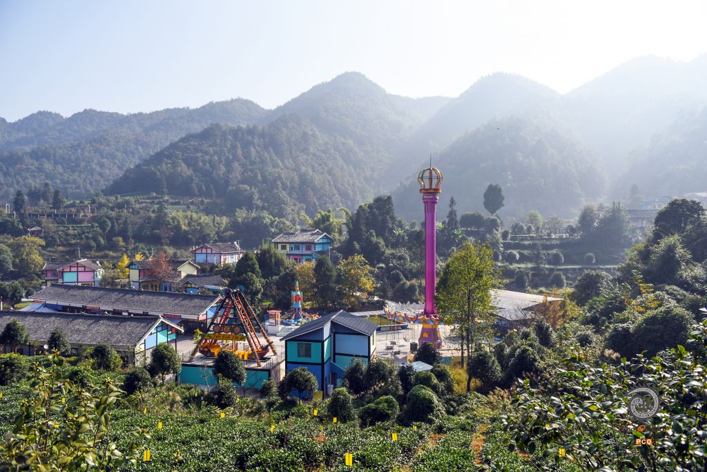 茶园似花园，茶香飘四方（组照）