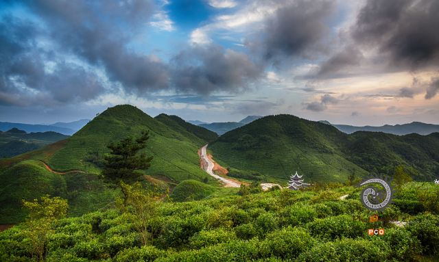 接天连叶无穷碧