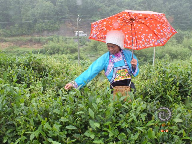 多彩贵州·第十四届中国原生态国际摄影大展 · 山民师 的图集