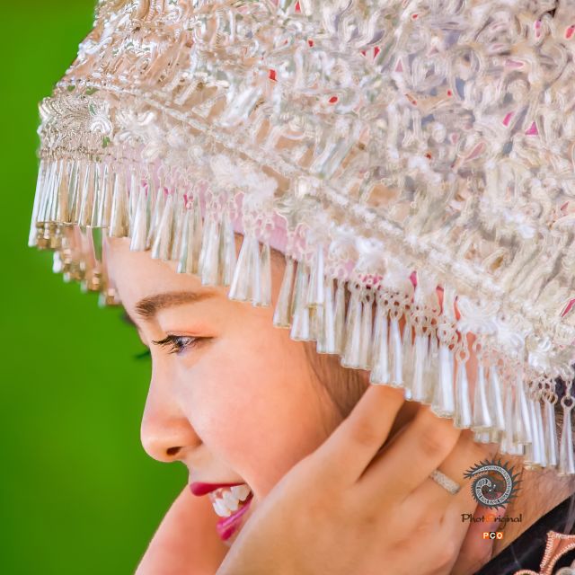 少女情怀都是诗