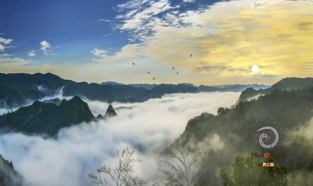 《茶山云海风光好》
