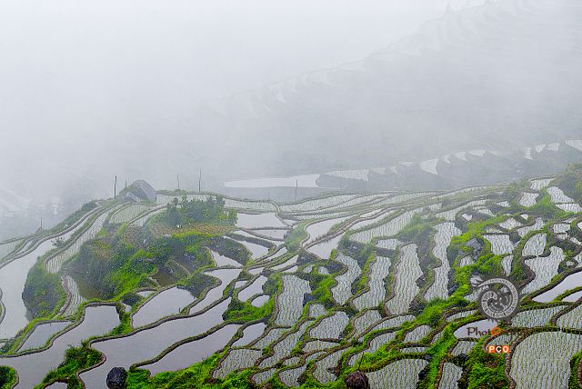 DSC_0701梁岭起伏