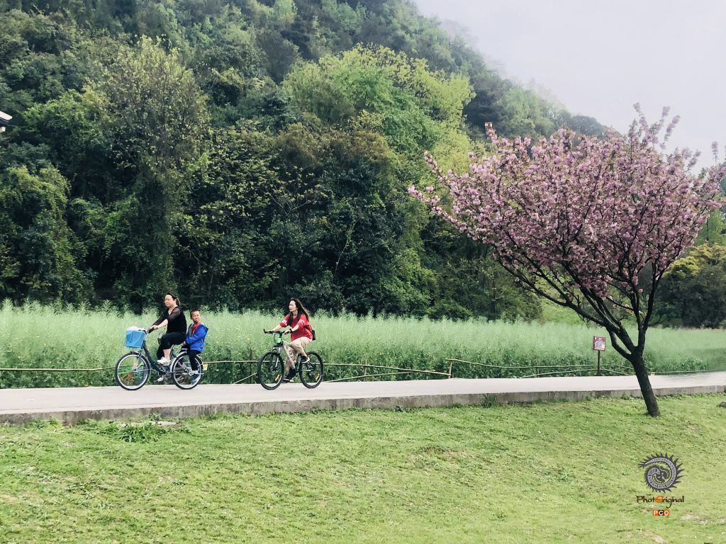 小时光