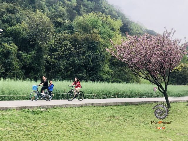 小时光
