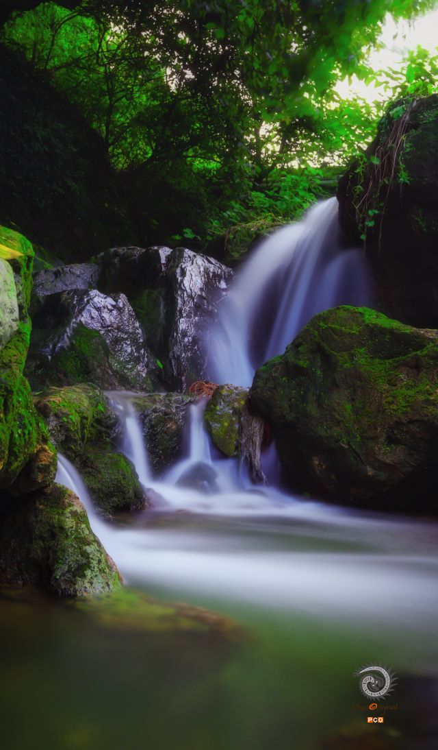 金钟河·小瀑