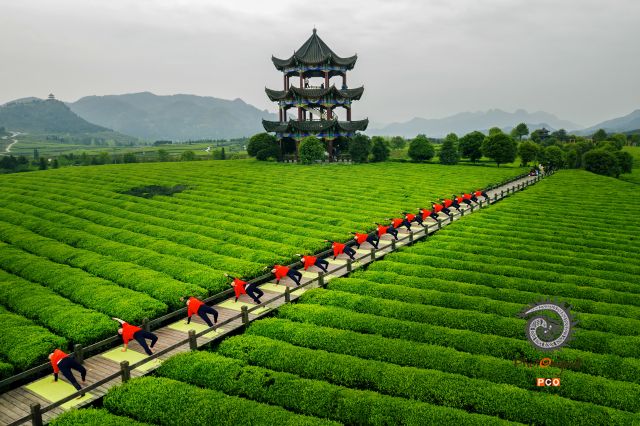 【风景线】