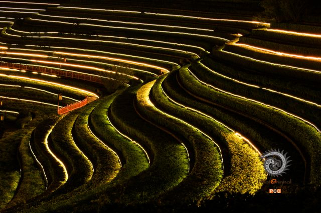 奢香古镇茶园夜景