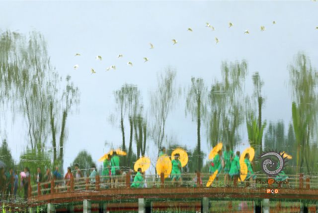 游园春梦