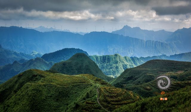 螺丝壳茶园风光