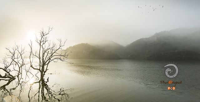 清水江的早晨