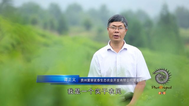 我与高山生态有机茶（微视频类作品）