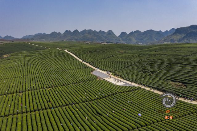 繁忙的菜场