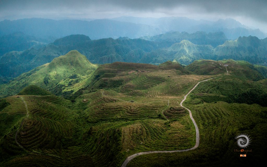 螺丝壳茶园