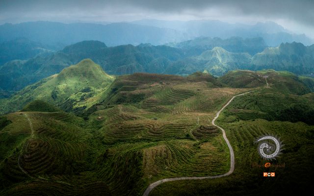 螺丝壳茶园