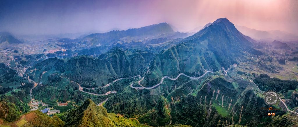云雾山茶园全景图
