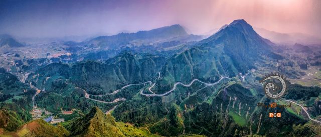 云雾山茶园全景图