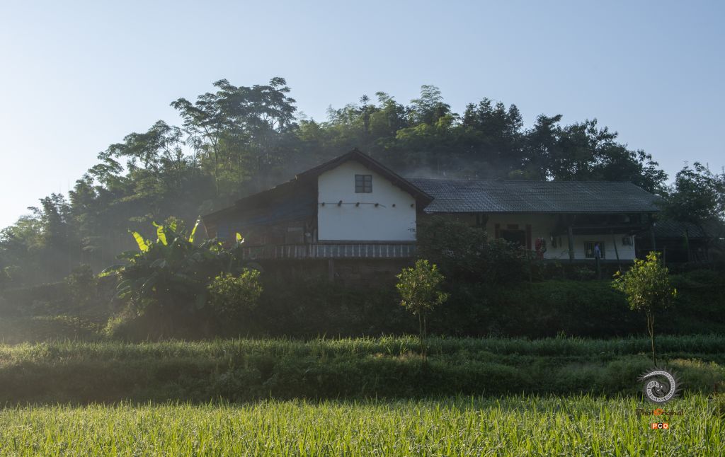 民宿洞坪上