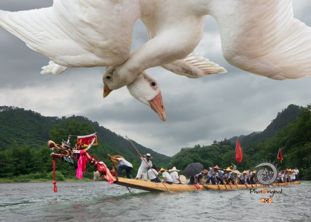 同舟共济