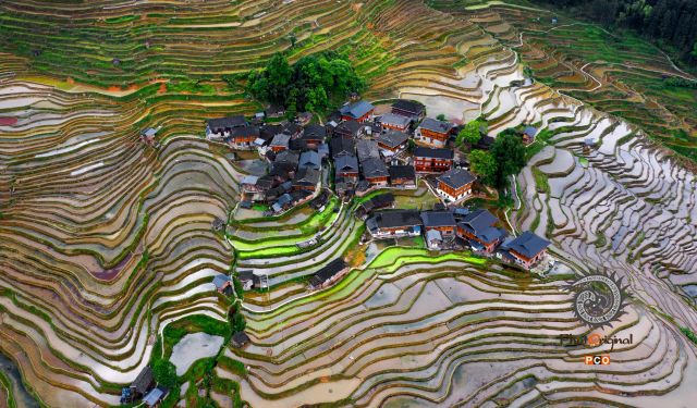 梯田绕家园