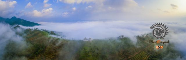 茶山云海