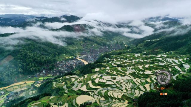 《传统村落——洋洞侗寨》