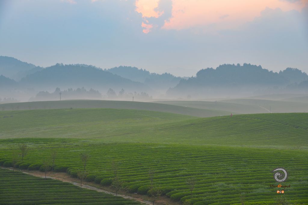 《清晨》