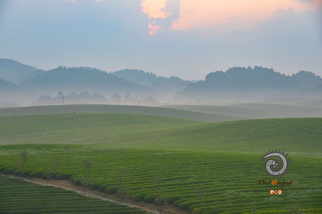 《清晨》