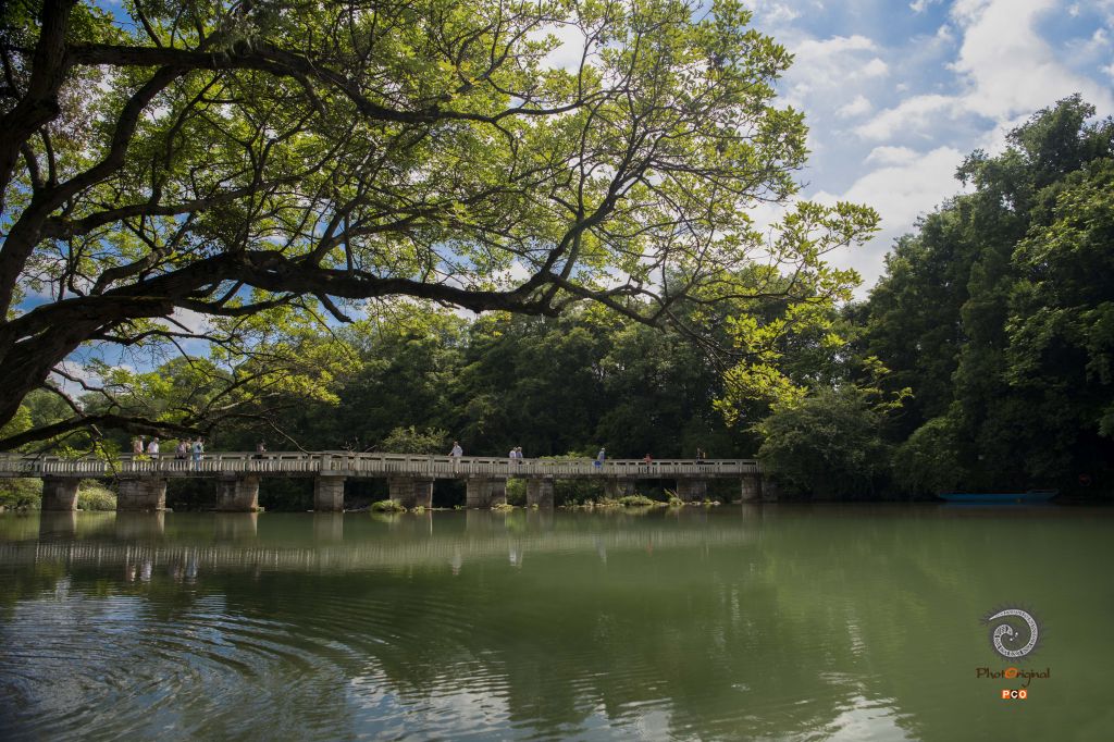 绿水涟漪