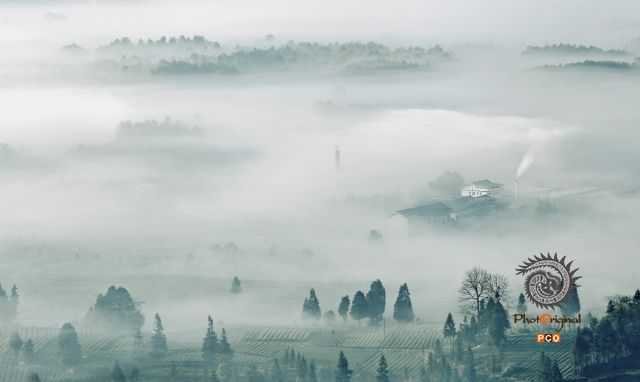 又见炊烟
