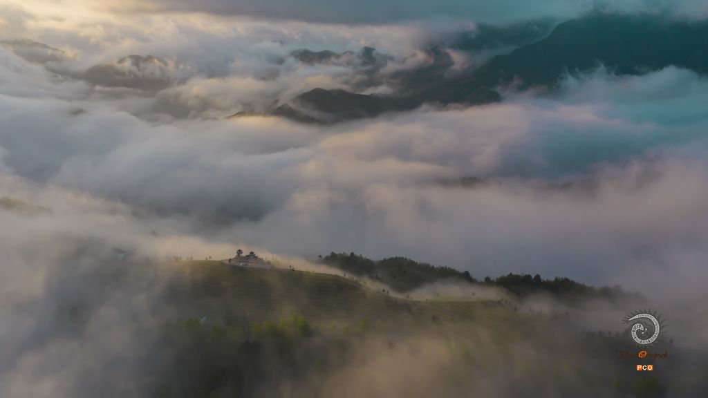 《茶山晨韵》