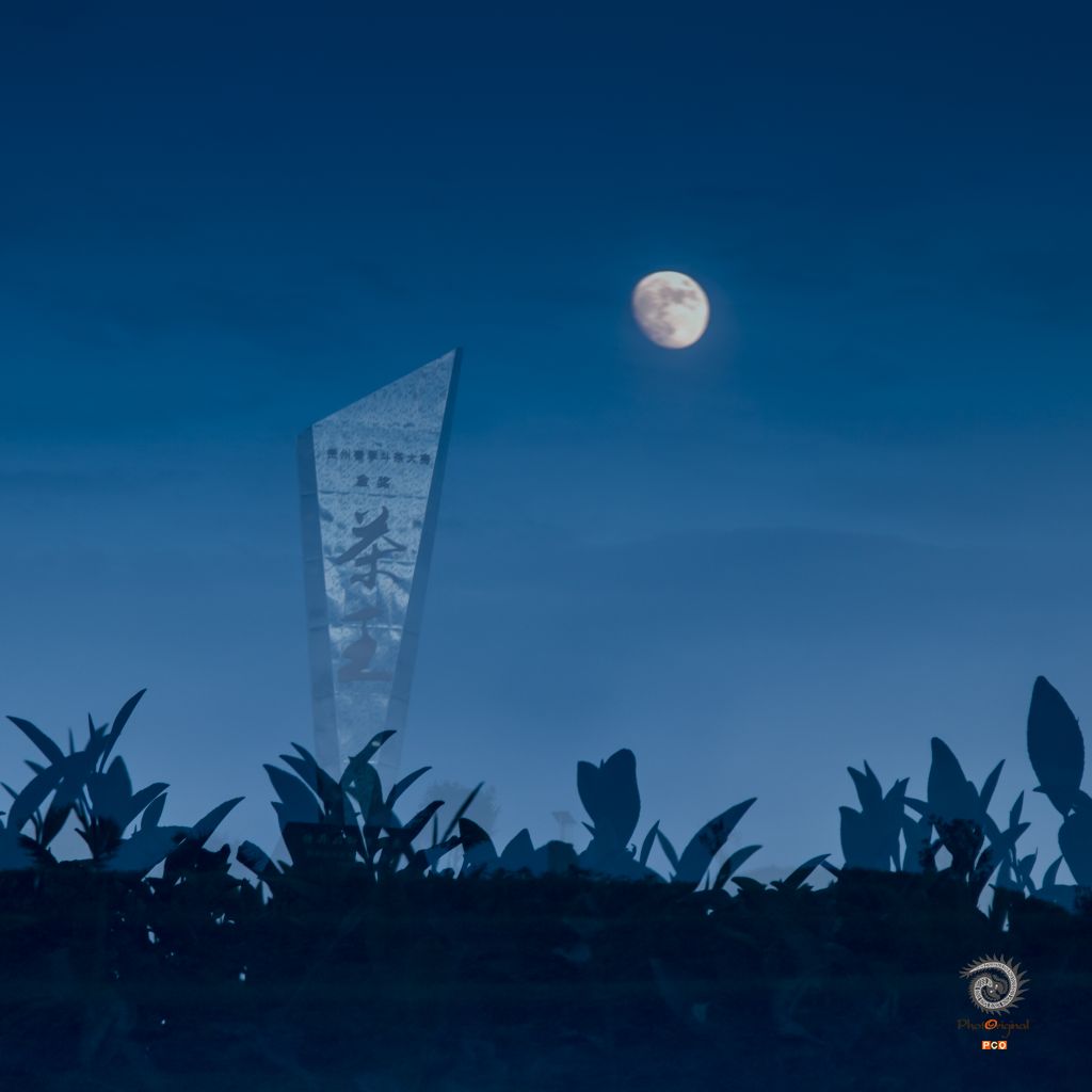 《茶园夜色》(老年组)