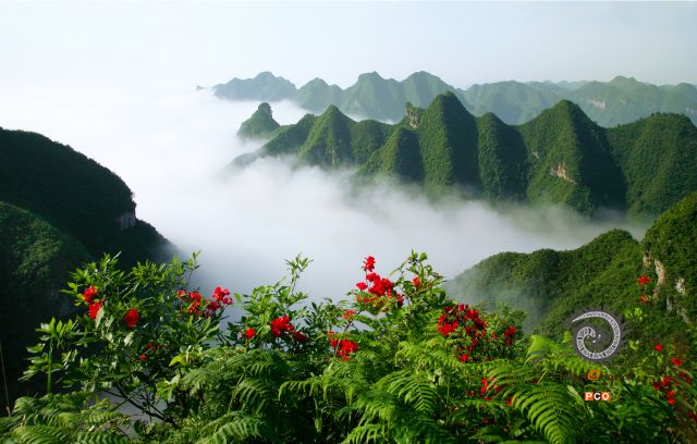 高原颂