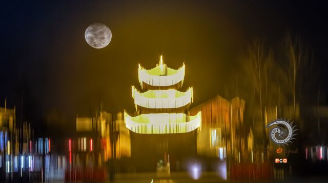 月光下