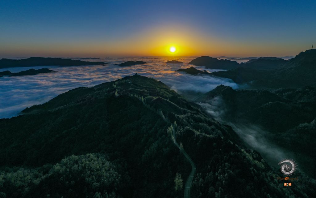 茶之韵（专业组.航拍类）