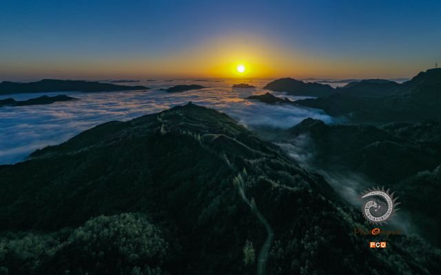 茶之韵（专业组.航拍类）