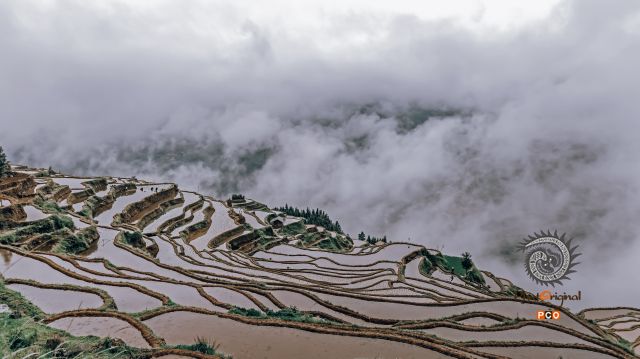 云上梯田