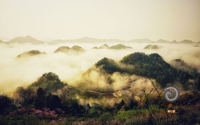 雾锁茶寿山