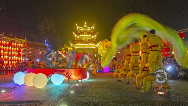 花脸龙