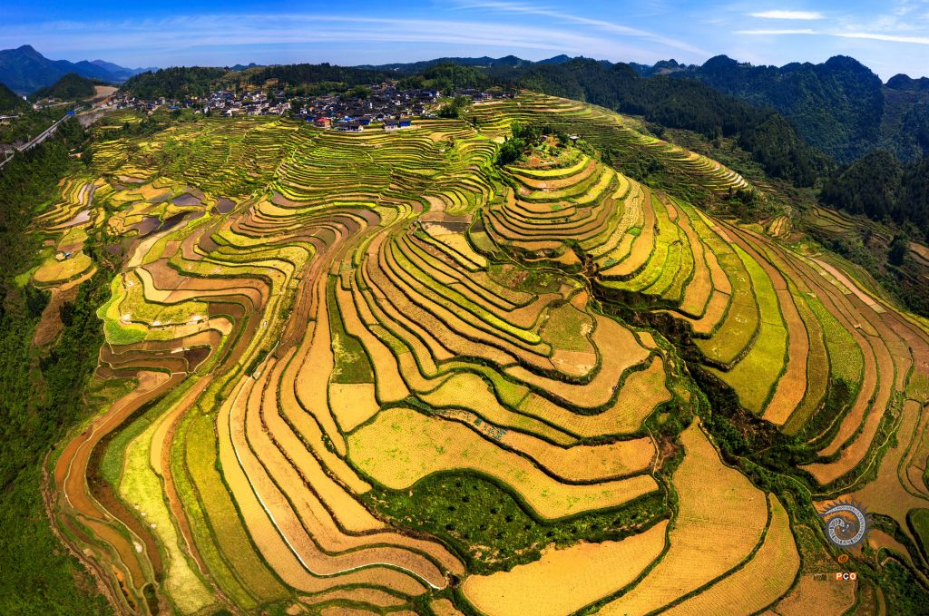 梯田风光
