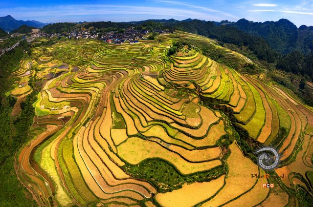 梯田风光