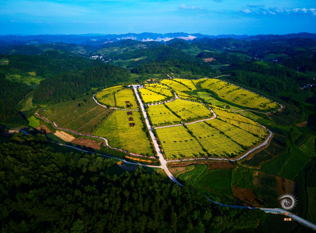 《日照金山》