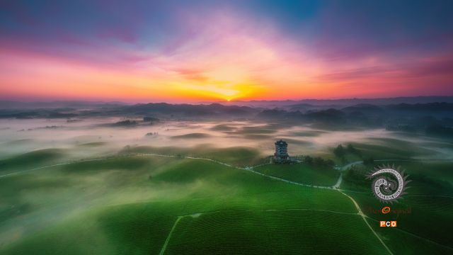 茶海晨韵