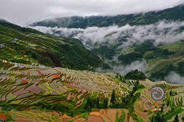 加榜梯田