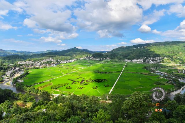 稻田作画献礼建党百年