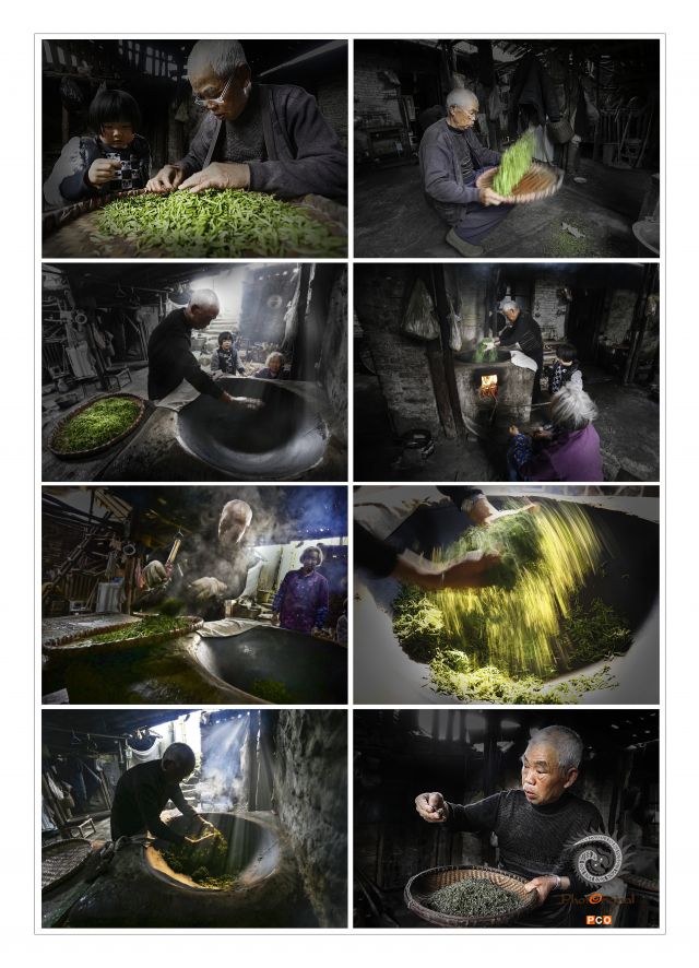 传统制茶（非专业组）（人文类）
