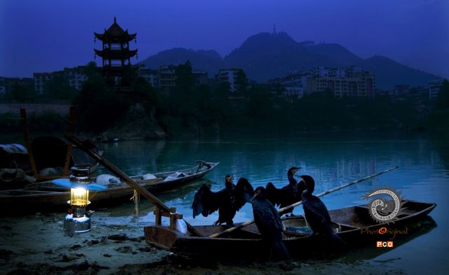 江城夜渔