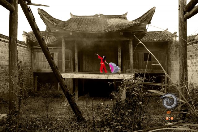 舞殇情未了