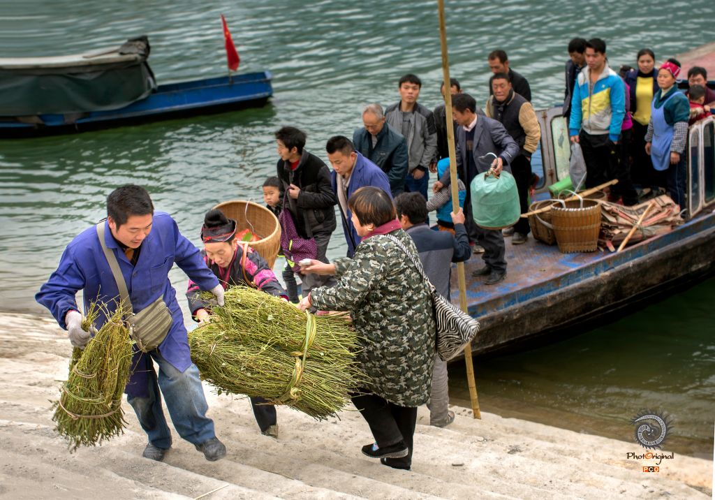 《抢码头》